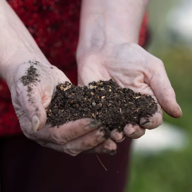 thumbnail for publication: Understanding Fertilizers and Soil Amendments